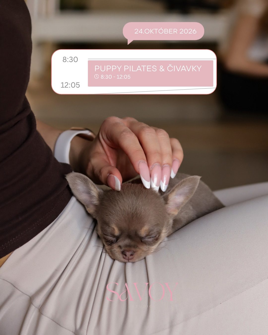 Puppy pilates